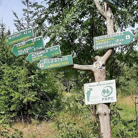 Skandihaus Grossbreitenbach