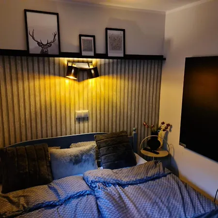 Holiday home Skandihaus *