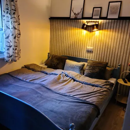 Skandihaus * Grossbreitenbach