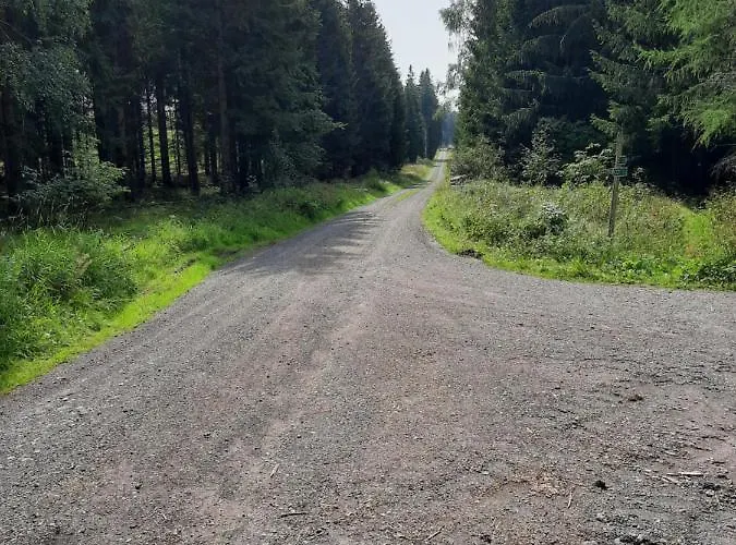 Skandihaus * Grossbreitenbach